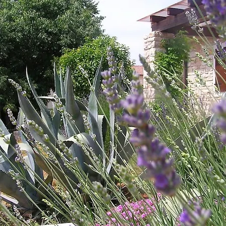 Casa Le Finide Holiday home Bale