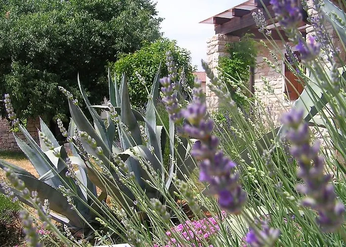 Casa Le Finide Tatil Evi Bale